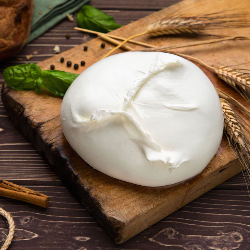 Изготовление моцареллы секреты итальянского вкуса