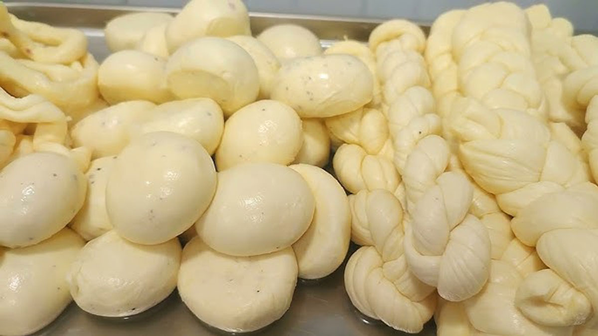 https://mozarella.com.ua/sites/default/files/content/article/article-preview-images/vid-mocareli-do-novikh-mozhlivostey-yak-rozshiriti-virobnictvo-siru-ta-zbilshiti-pributok-prevyu.jpg
