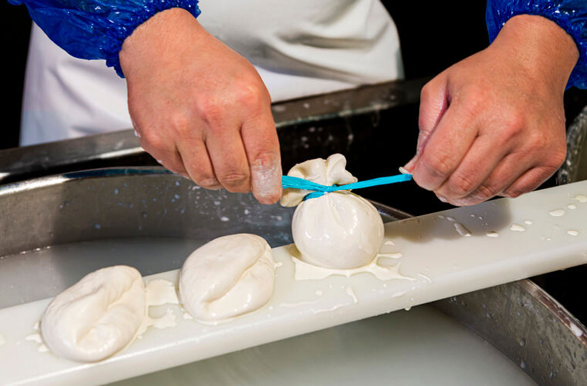 https://mozarella.com.ua/sites/default/files/content/article/article-preview-images/vid-mocareli-do-novikh-mozhlivostey-yak-rozshiriti-virobnictvo-siru-ta-zbilshiti-pributok-prevyu.jpg
